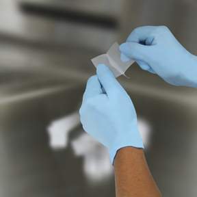 Picture of Biopsy Bag Fisherbrand™ Small 25 X 40 mm Nylon Mesh Without Closure Unprinted NonSterile15182500