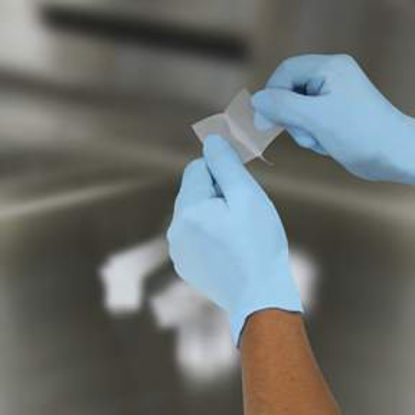 Picture of Biopsy Bag Fisherbrand™ Small 25 X 40 mm Nylon Mesh Without Closure Unprinted NonSterile15182500