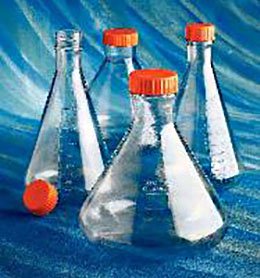 Picture of Laboratory Flask Polycarbonate 500 mL (16 oz.)431401