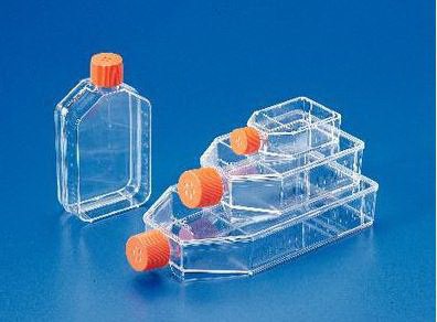 Picture of Flask Corning Rectangular / Tissue Culture Polystyrene / Polyethylene Closure29560-959