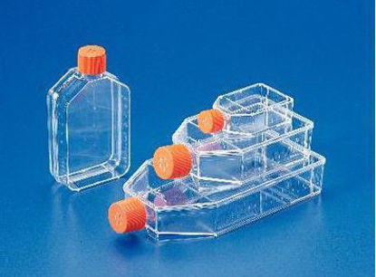 Picture of Flask Corning Rectangular / Tissue Culture Polystyrene / Polyethylene Closure29560-959
