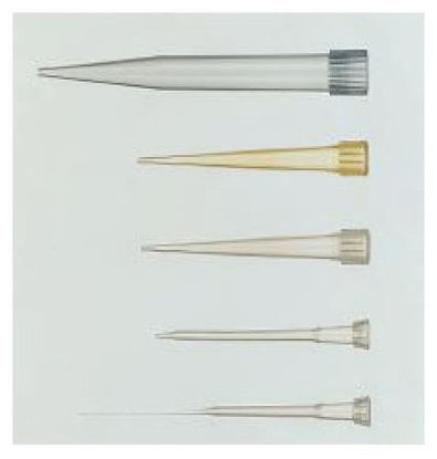Picture of Gel Loading Pipette Tip Eppendorf® 20 µL213802M