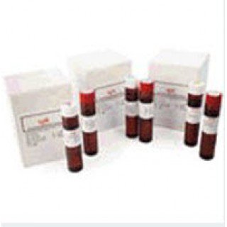 Picture of Reagent Kit K-ASSAY® Immunochemistry / Specific Protein Test Immunoglobulin M (IgM) For Chemistry Analyzers Capable of Accurate Readings at 700 nm 285 Tests R1: 4 X 20 mL, R2: 2 X 10 mLKAI-015