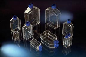 Picture of Culture Flask Nunc™ Nunclon™ Cell Culture Polystyrene 50 mL1256549