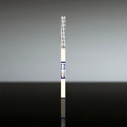 Picture of Rapid Test Kit Instant-view® Menopause Test Follicle Stimulating Hormone (FSH) Urine Sample 50 Tests02-2567