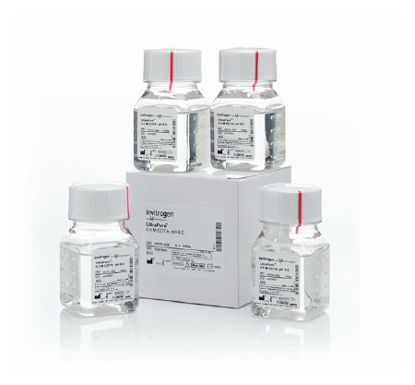 Picture of Biochemical Invitrogen™ UltraPure™ EDTA (Disodium) Molecular Biology Grade 0.5 M / pH 8.0 4 X 100 mL15575020