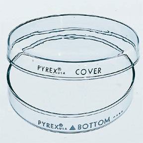 Picture of Petri Dish Corning™ Pyrex™ Glass08747A