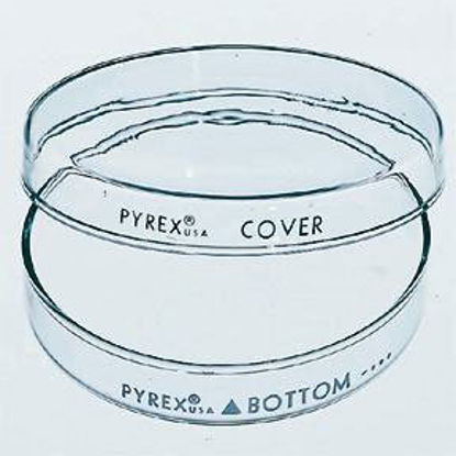 Picture of Petri Dish Corning™ Pyrex™ Glass08747A