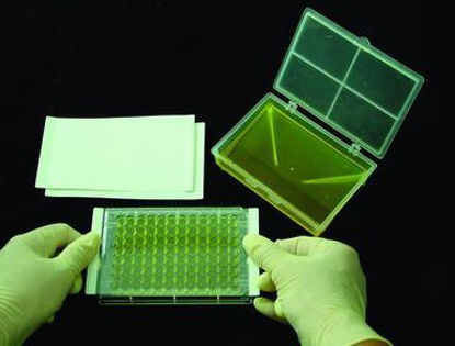 Picture of Sealing Film SealPlate® 79.4 X 146.1 mm, Non-sterile, 50 µm Thickness490007-308