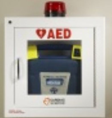 Picture of Wall Mount Cabinet White, See Through Door, With Alarm, Strobe, Security Enabled AED50-00392-30