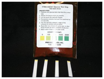 Picture of Glucose Test Strip Glucose Detectable Analytes, 1 to 2 sec. Test Time, 0, 100, 300, 1000 and 3000 mg/dL ConcentrationS80218
