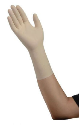 Picture of Exam Glove InstaGard® Synthetic X-Large NonSterile Vinyl Standard Cuff Length Smooth Clear Not Chemo Approved8889DOTP