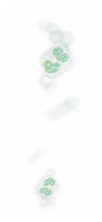 Picture of Differential Rapid Stain Set Quick III™ 3 X 16 oz.22246493