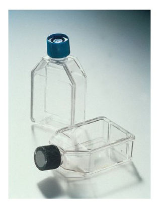 Picture of Culture Flask Falcon® Cell Culture Polystyrene 70 mL877219