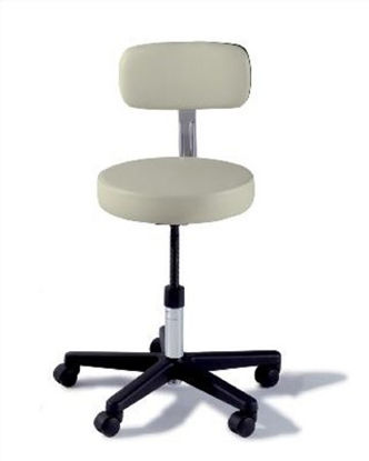 Picture of Exam Stool Ritter® 271 Value Series Backrest Spinlift Height Adjustment 5 Casters Shadow271-003-232