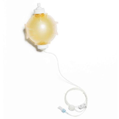 Picture of Elastomeric Pump Homepump Eclipse* Gravity 100 mL Capacity 50 mL / Hr. Flow Rate Without DisplayE100500