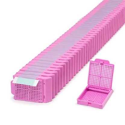 Picture of Biopsy Cassette Histosette® II Acetal LilacM493-10T