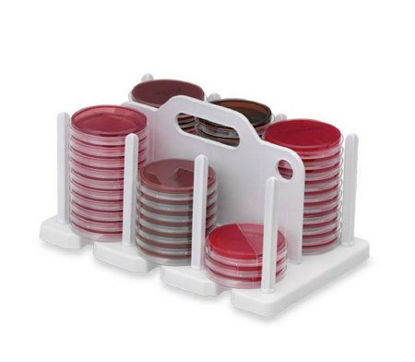 Picture of RACK PLATE 100MM MOLDED HOLDS 42 PLATES9168