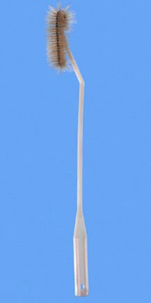 Picture of Flask Brush Fisherbrand® 16 Inch L, Bristle: 1.5 OD X 4 L Inch, Plastic Shaft and Handle, Extended Bristled End, Unbleached White Hog Bristles Flask / Bottle035715