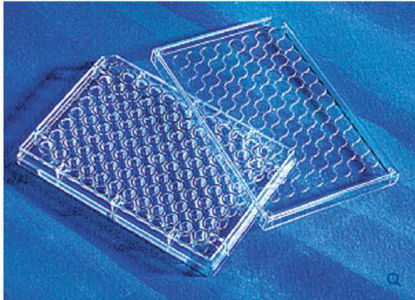 Picture of 96-Well Microplate Costar™ Clear Sterile3596