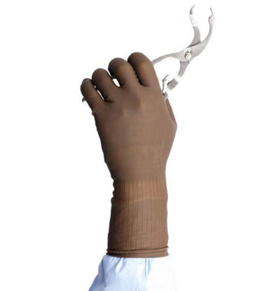 Picture of Surgical Glove Protexis™ PI Orthopaedic Size 6.5 Sterile Pair Polyisoprene Standard Cuff Length Smooth Brown Not Chemo Approved2D73HT65