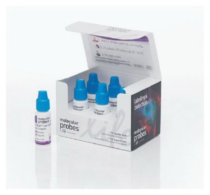 Picture of REAGENT, MOLECULAR PROBE NUCBLUE LIVER37605