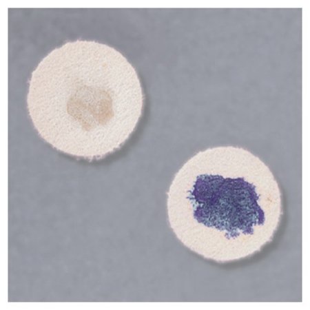 Picture of Differentiation Disc Remel™ MicrodaseR21132