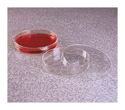 Picture of Petri Dish Thermo Scientific™ Nalgene™ Polymethylpentene0875715C