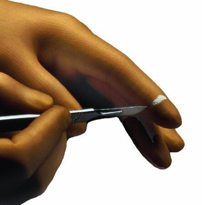 Picture of Cut Resistant Glove Liner Perry® Powder Free Spectra® Fiber White Large5789913