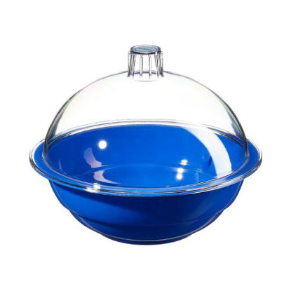 Picture of Desiccator Nalgene™ 10-1/3 Height X 13 Inch Outer Diameter, Blue5309-0250