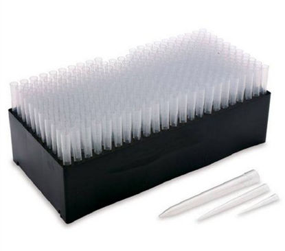 Picture of Pipette Tip 200 µL NonSterile1107