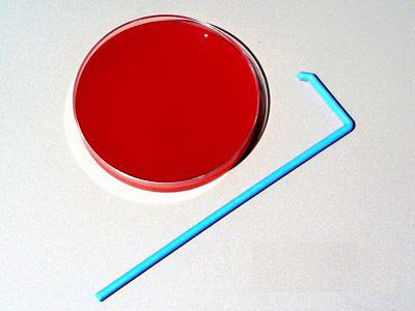 Picture of Inoculating Spreader Polystyrene Sterile174CS10ZL