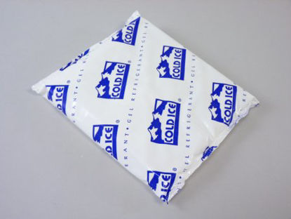 Picture of Refrigerant Gel Pack Therapak™ 1 X 5.5 X 6.5 Inch For Transporting Laboratory Specimen56478