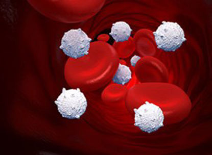 Picture of Reagent AutoLDL™ Cardiac / Lipids / General Chemistry Cholesterol For Mindray™ BS-480 Analyzer 4 X 62 mL14-L7574-320