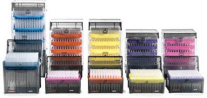 Picture of Pipette Tip ClipTip™ 12.5 µL NonSterile14387985