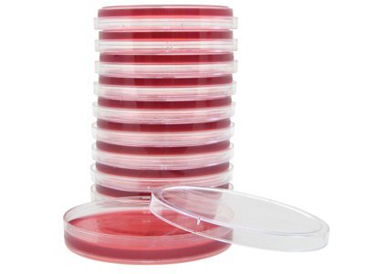 Picture of Prepared Media HardyCHROM™ SS No-Proteus Agar Mono-Plate FormatG327