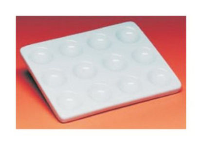 Picture of Spot Plate Porcelain13-745-12A