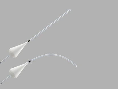 Picture of Goldstein Sonohysterography Catheter 5.4 Fr.G19012