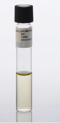 Picture of Prepared Media Mueller Hinton Broth Tube FormatK91
