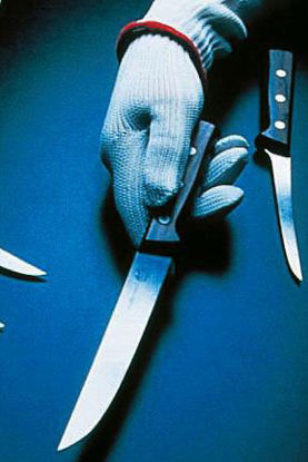 Picture of Cut Resistant Glove Polar Bear™ Supreme Medium Stainless Steel Yarn White Knit Cuff NonSterile19052298