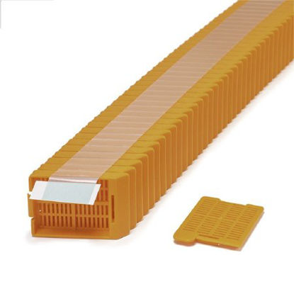 Picture of Tissue Cassette Swingsette™ Acetal OrangeM517-11T
