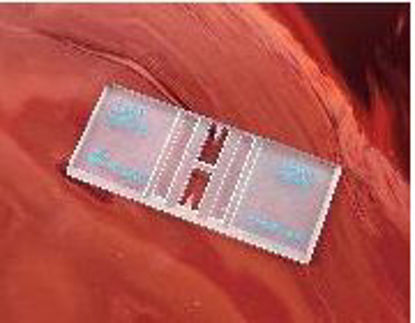 Picture of Levy Counting Chamber 4.5 X 32 X 75 mm, 0.1 mm Cell Depth15170-208