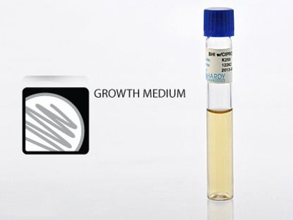 Picture of Prepared Media Brain Heart Infusion (BHI) Broth with Ciprofloxacin Clear Tube FormatK258
