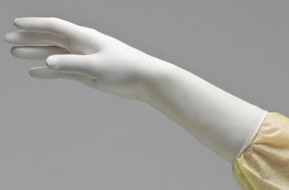 Picture of Surgical Glove NitriDerm® Size 9 Sterile Pair Nitrile Extended Cuff Length Bisque White Not Chemo Approved135900