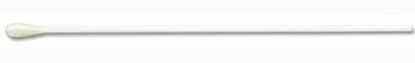 Picture of Specimen Collection Swab Calgiswab® 6 Inch Length Sterile25-806 1PA