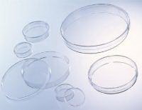 Picture of Tissue Culture Dish CELLSTAR® Polystyrene82050-538