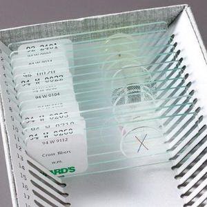 Picture of SLIDE SET GENERAL BACT 10BX 10/BX GEN BACTERIOLOGY95V0114