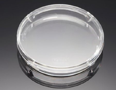 Picture of Petri Dish Falcon® Polystyrene25373-100