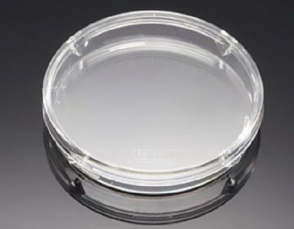 Picture of Petri Dish Falcon® Polystyrene25373-100