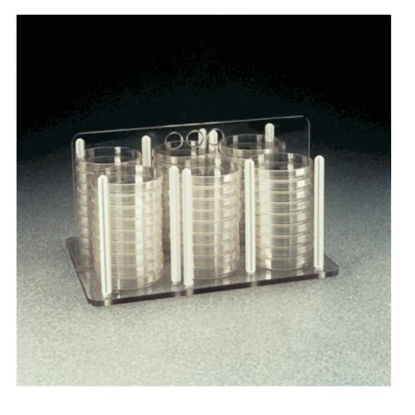 Picture of Petri Dish Rack Nalgene™ Clear, Plastic, With Lid For 60 mm Petri Dishes5921-0060